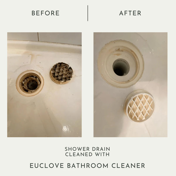 Euclove Clean - 去霉清潔劑 500ML